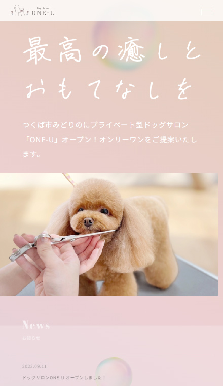 つくば市のトリミングサロン Dog Salon ONE-U